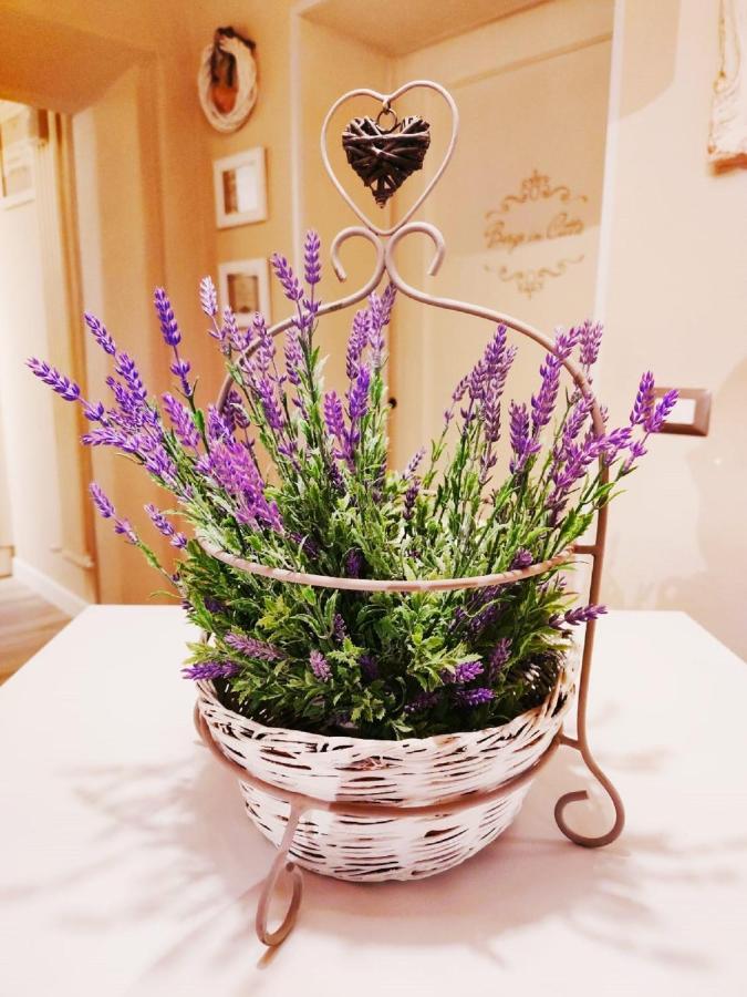 ピストイアBorgo In Cittaアパートメント エクステリア 写真
